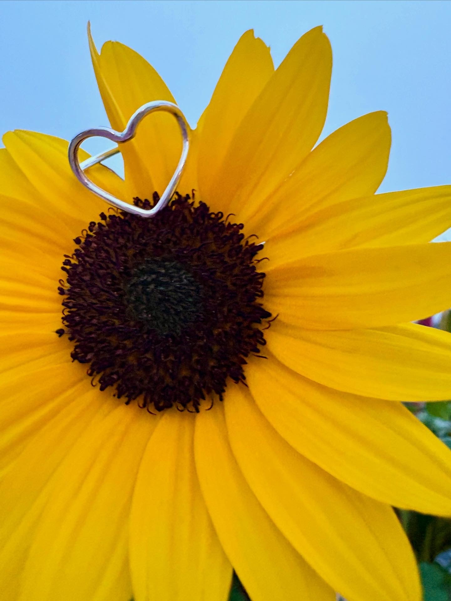 Sterling Silver Open Heart Ring